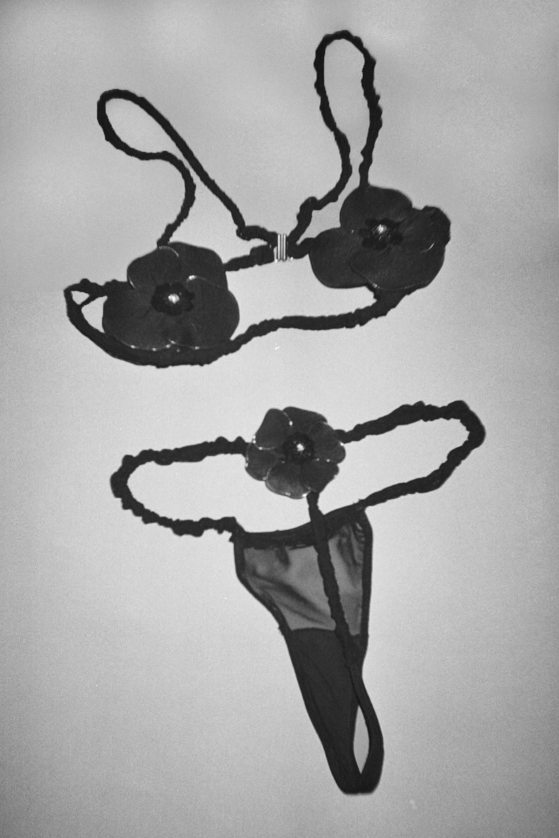 Blooming Flower Set