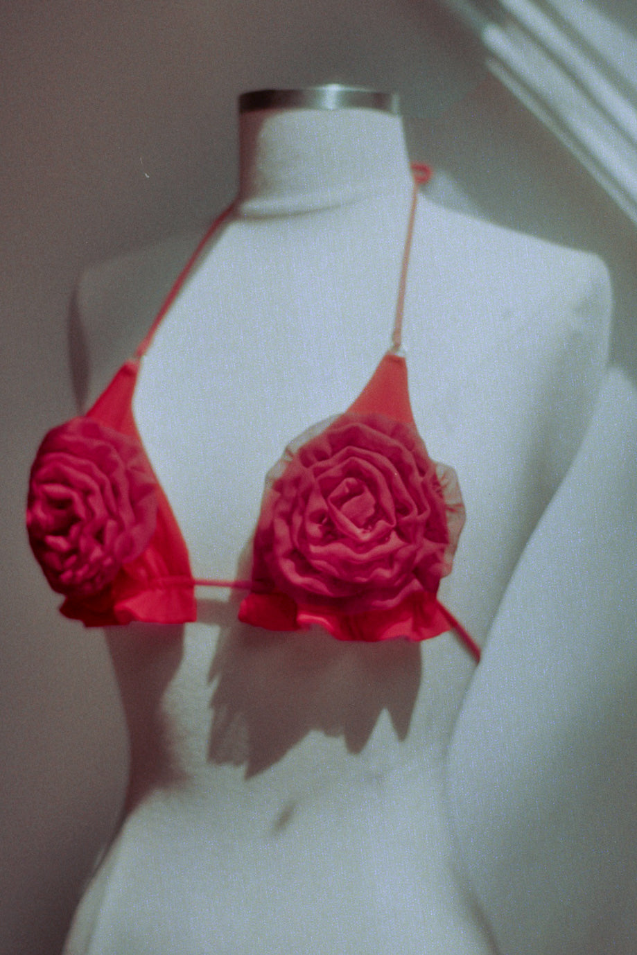 Bikini Red Roses