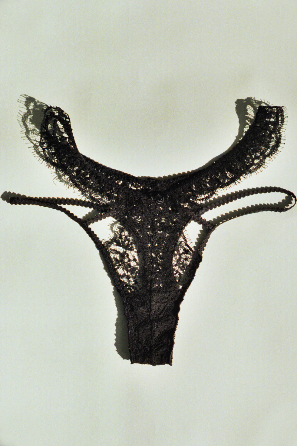 Nue Lace Brazilian Thong